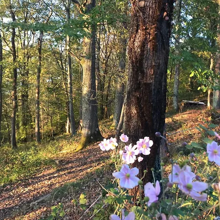 Ideal Famille - Havre De Paix - Vue Pyrenees -spa Ete