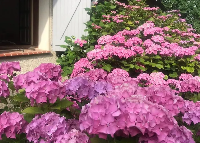 Ideal Famille - Havre De Paix - Vue Pyrenees -spa Ete * Laroin